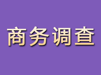 龙海商务调查